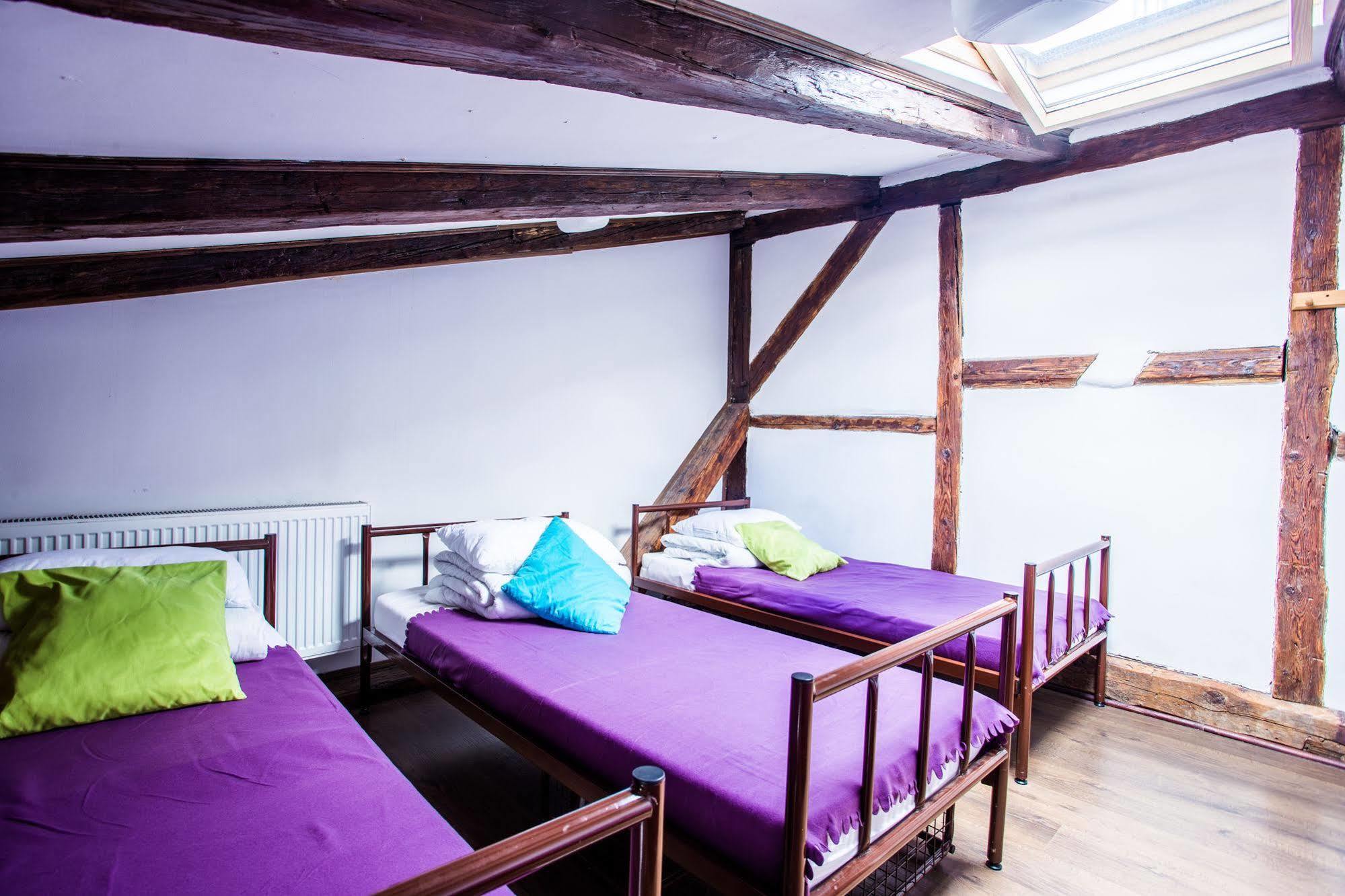 Pink Panther'S Hostel Krakow Ngoại thất bức ảnh